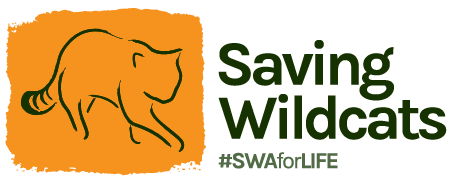 Saving Wildcats