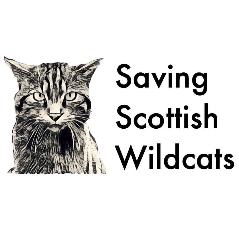 Saving Scottish Wildcats
