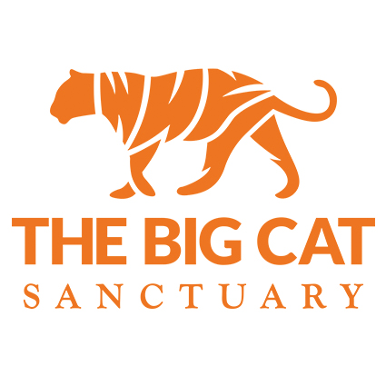 The Big Cat Sanctuary